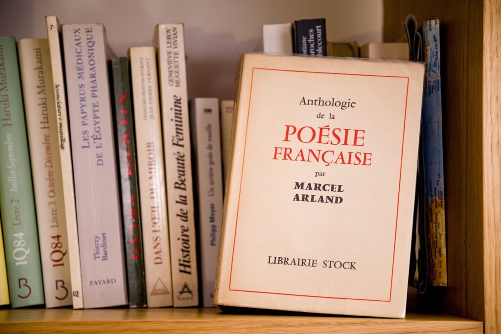 10 best books to learn French