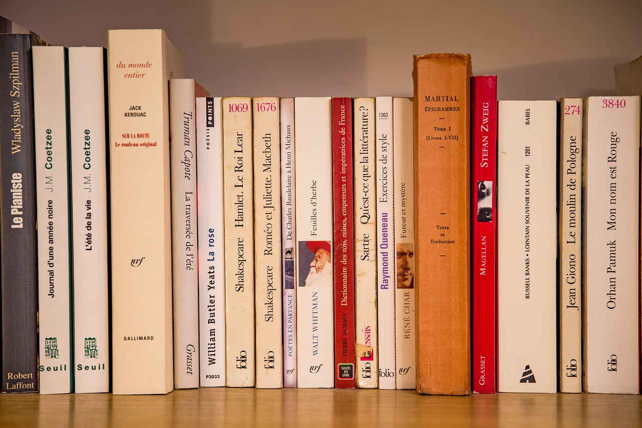10 best books to learn french